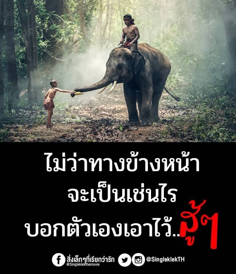152 อกหัก แคปชั่นเด็ดๆกวนๆ